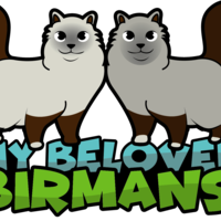 mybelovedbirmans Thumbnail
